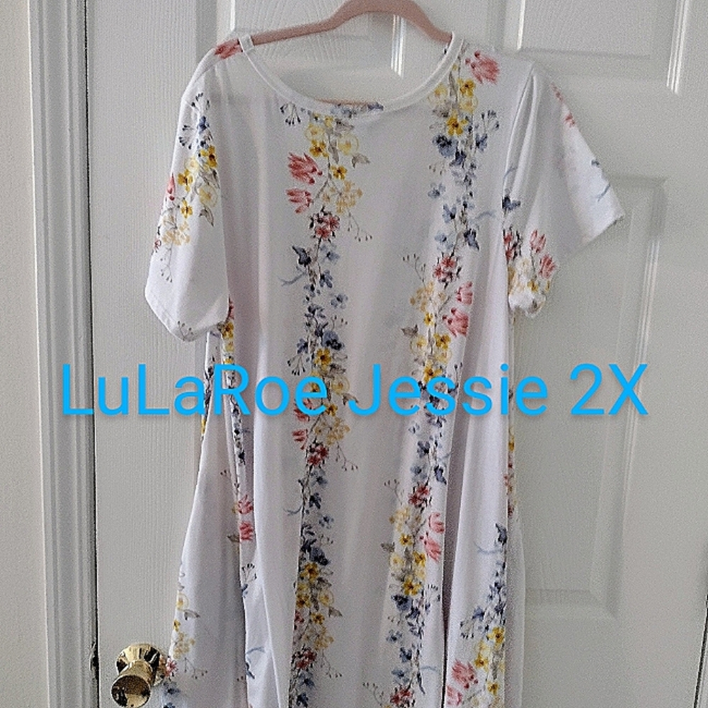 LuLaRoe Jessie dress 2X